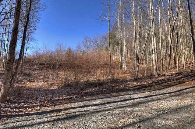 136 Pack Creek, Blue Ridge, GA 30513