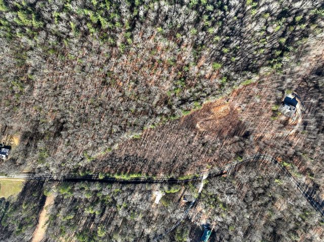 136 Pack Creek, Blue Ridge, GA 30513