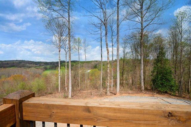 136 Pack Creek, Blue Ridge, GA 30513