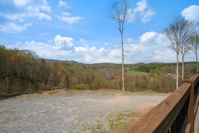 136 Pack Creek, Blue Ridge, GA 30513
