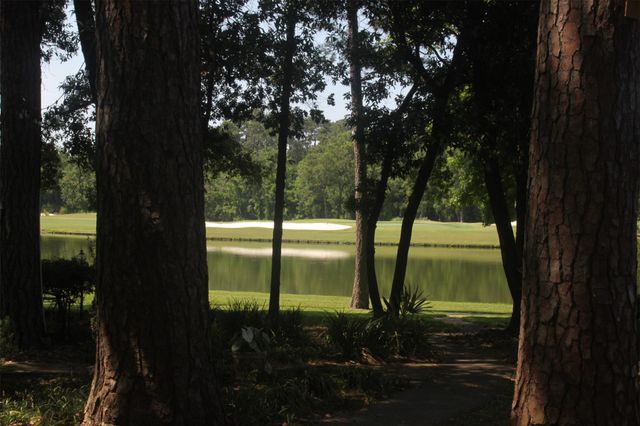 3126 E E Lake Crescent Drive, Houston, TX 77339