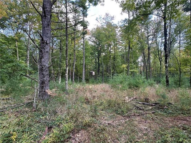 7487 W Poertner Road, Neillsville, WI 54456