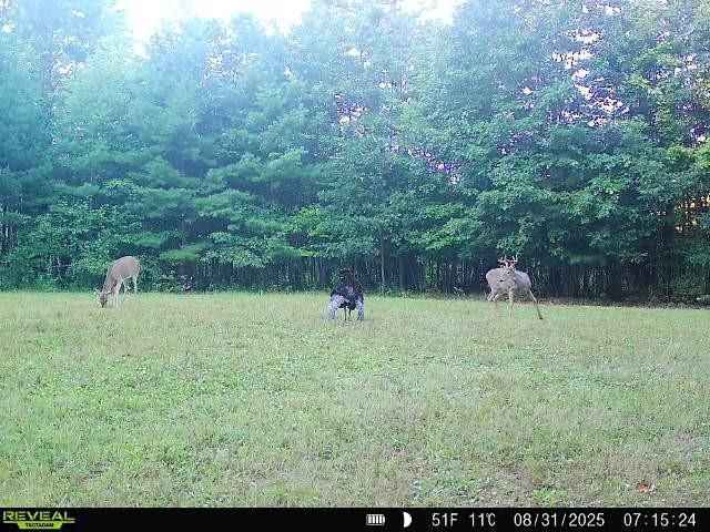 7487 W Poertner Road, Neillsville, WI 54456