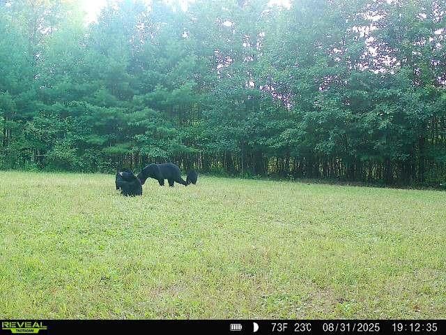 7487 W Poertner Road, Neillsville, WI 54456