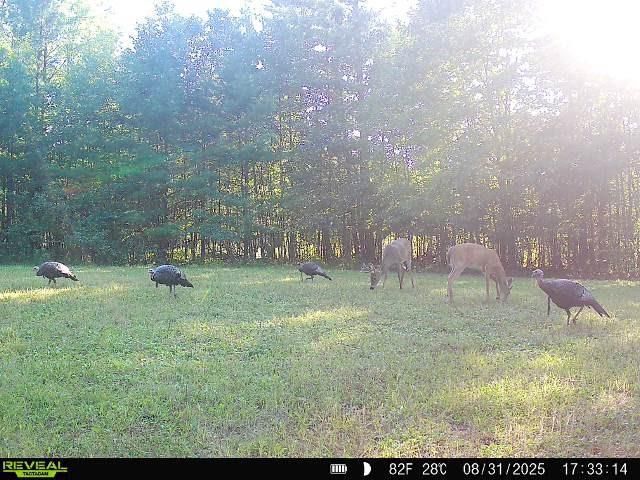 7487 W Poertner Road, Neillsville, WI 54456