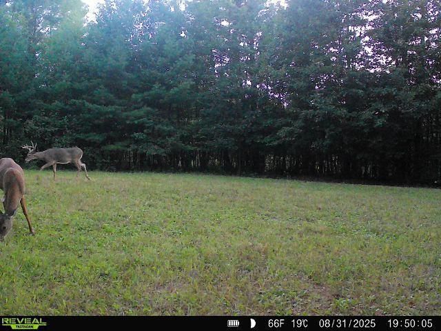 7487 W Poertner Road, Neillsville, WI 54456