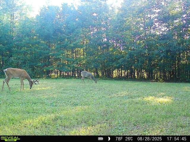 7487 W Poertner Road, Neillsville, WI 54456