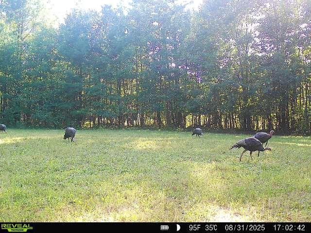 7487 W Poertner Road, Neillsville, WI 54456