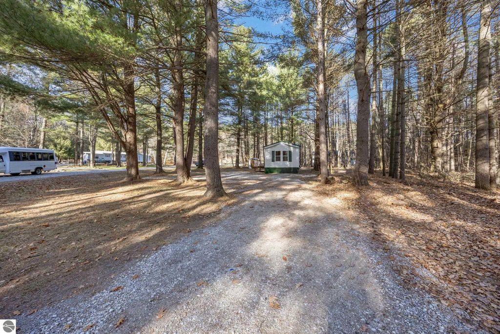 Gravel driveway leading to a small house surrounded by trees, showcasing the serene setting of a residential property at 8401 Independence Avenue, Cadillac, MI.