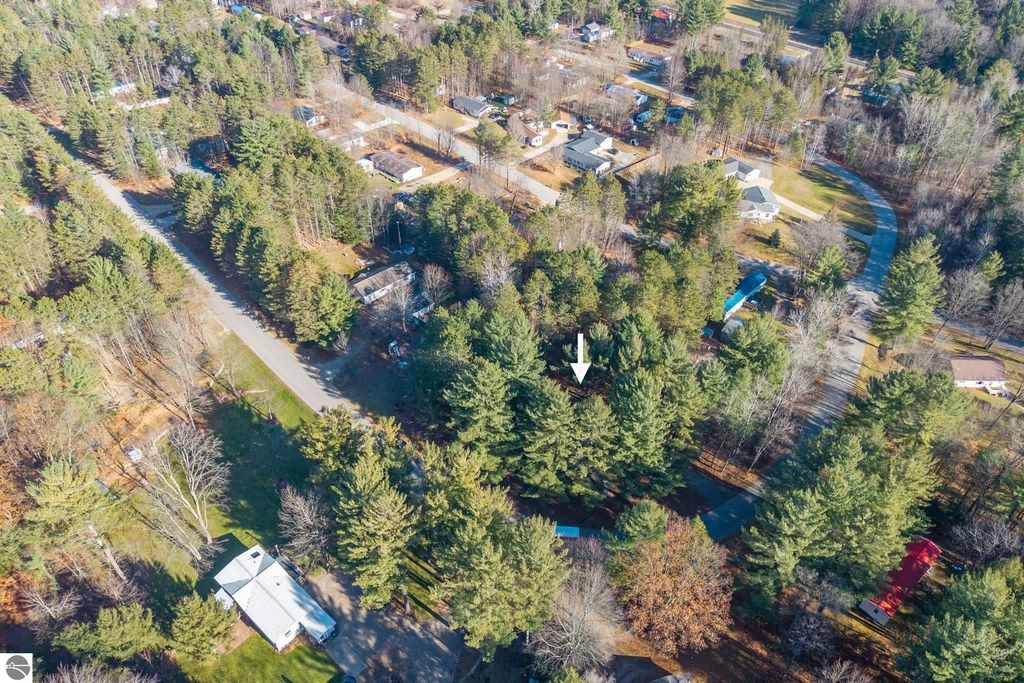 Aerial view of 8401 Independence Avenue, Cadillac, MI, showcasing surrounding residential area, large lot with trees, and nearby roads, indicating a serene country-like setting.