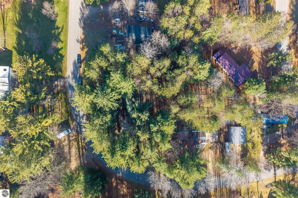 Aerial view of a wooded area surrounding a residential property on Independence Avenue in Cadillac, MI, showcasing tree coverage and nearby roads, emphasizing the spacious lot and rural feel of the home for sale.
