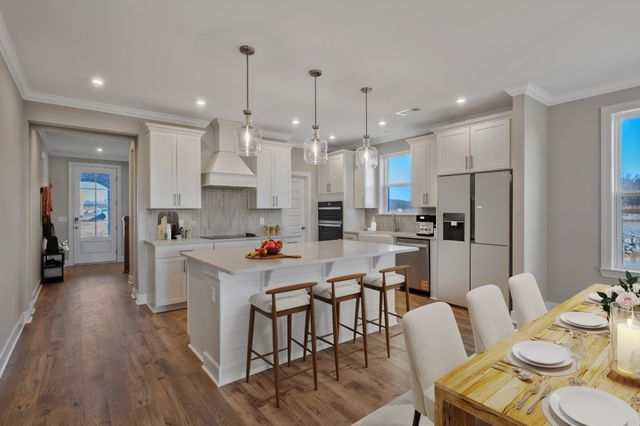 4036 Willow Belle Drive, Mount Juliet, TN 37122