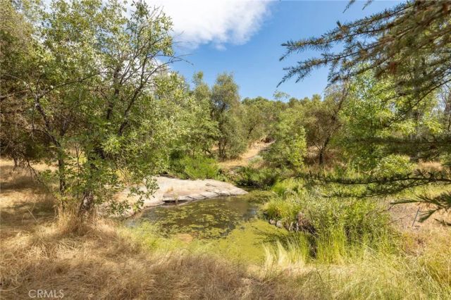 32413 Chickasaw Road, Coarsegold, CA 93614