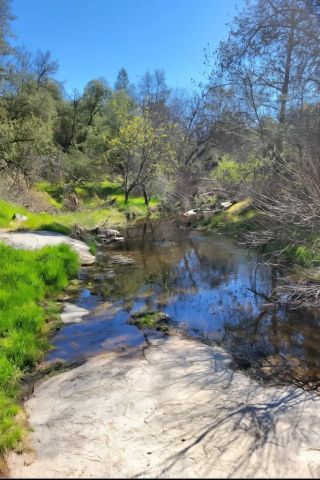 32413 Chickasaw Road, Coarsegold, CA 93614