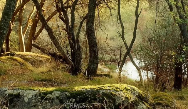 32413 Chickasaw Road, Coarsegold, CA 93614