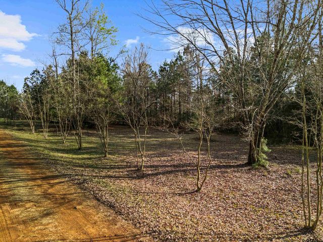 11554 FM 1649, Ore City, TX 75683