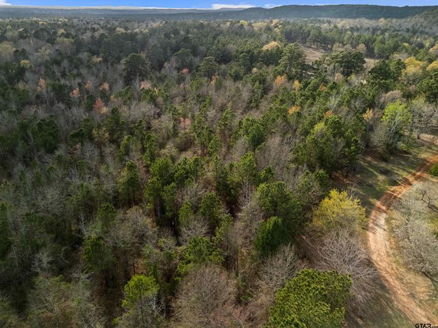 11554 FM 1649, Ore City, TX 75683