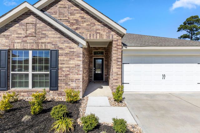 3165 Catalonion Court, Conroe, TX 77301