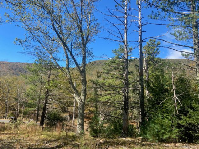 Tbd Manorville Road, Saugerties, NY 12477