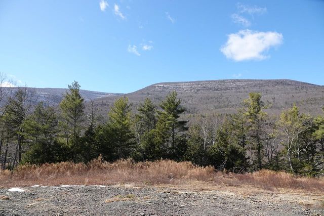 Tbd Manorville Road, Saugerties, NY 12477