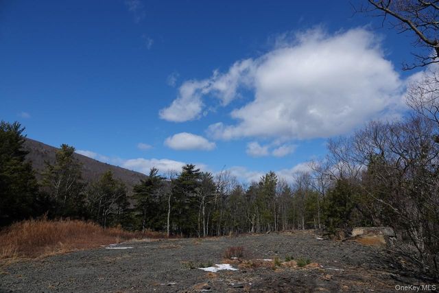 Tbd Manorville Road, Saugerties, NY 12477