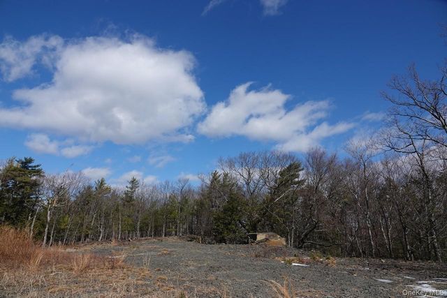 Tbd Manorville Road, Saugerties, NY 12477