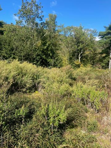 Tbd Manorville Road, Saugerties, NY 12477