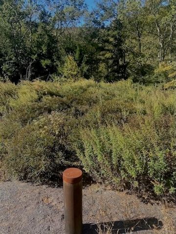 Tbd Manorville Road, Saugerties, NY 12477