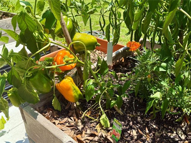 3607 UMBRELLA TREE LANE, Oxford, FL 34484