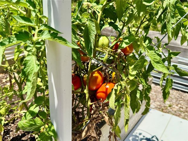 3607 UMBRELLA TREE LANE, Oxford, FL 34484