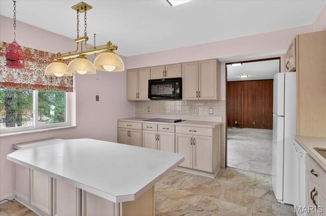 848 S Aldan Drive, Olivette, MO 63132