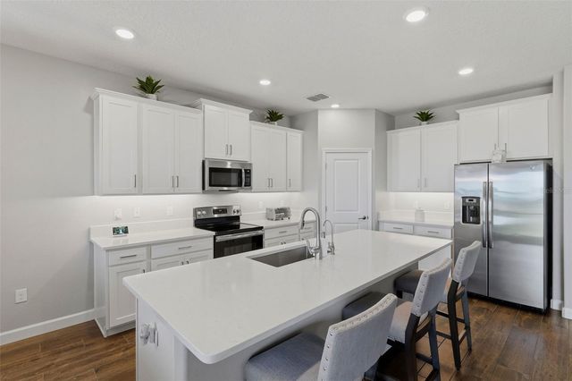 31700 CANNON RUSH DRIVE, San Antonio, FL 33576