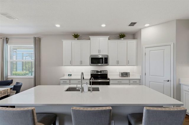 31700 CANNON RUSH DRIVE, San Antonio, FL 33576