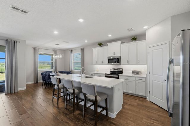 31700 CANNON RUSH DRIVE, San Antonio, FL 33576