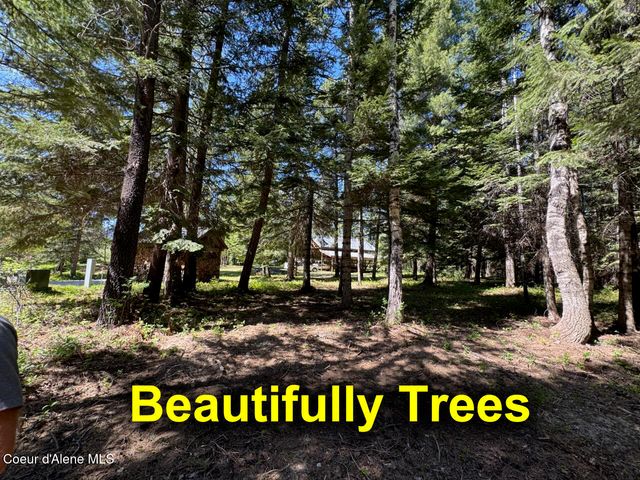 45 Rascals RD, Sandpoint, ID 83864