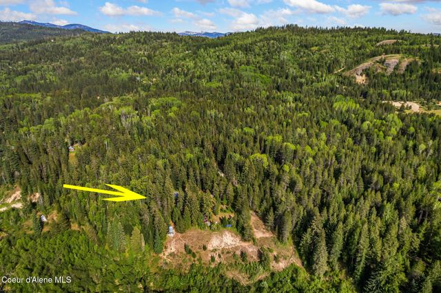 45 Rascals RD, Sandpoint, ID 83864