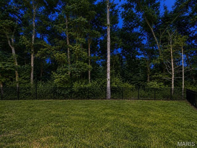 721 Switchgrass Drive, Wentzville, MO 63385