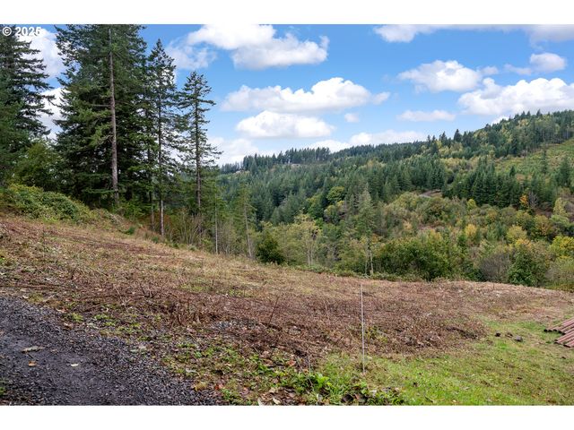 0 Ne 5th St, Washougal, WA 98671