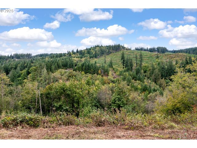 0 Ne 5th St, Washougal, WA 98671