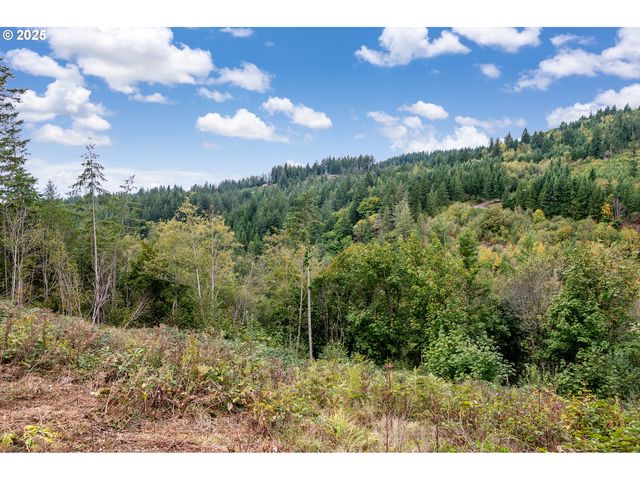 0 Ne 5th St, Washougal, WA 98671