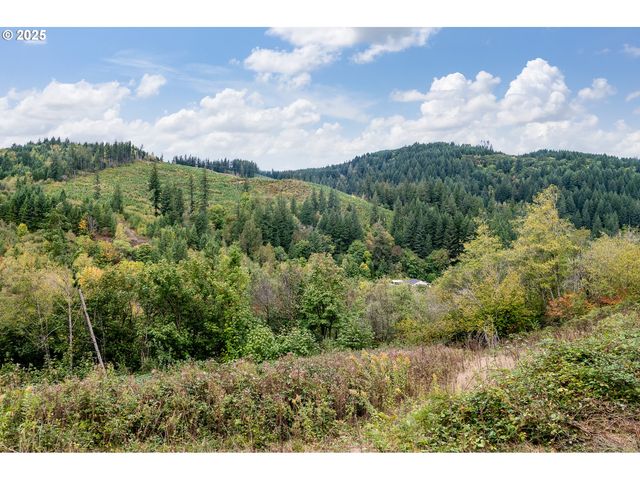 0 Ne 5th St, Washougal, WA 98671