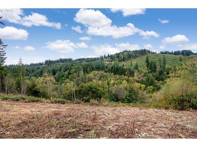 0 Ne 5th St, Washougal, WA 98671