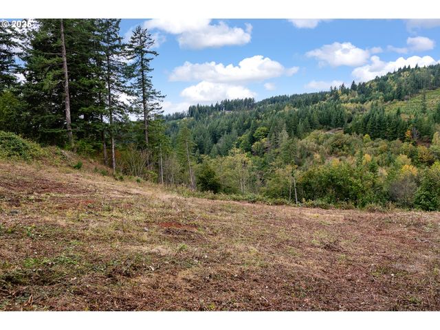 0 Ne 5th St, Washougal, WA 98671