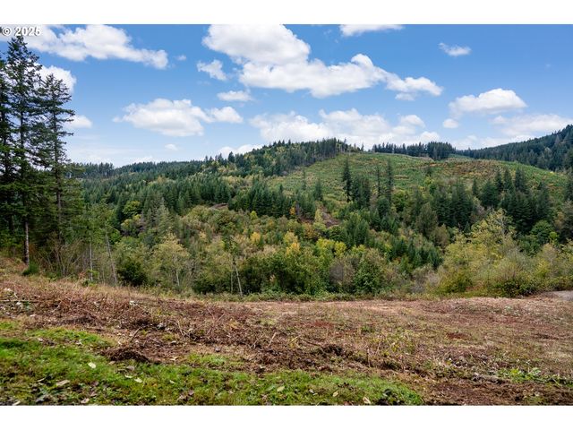 0 Ne 5th St, Washougal, WA 98671