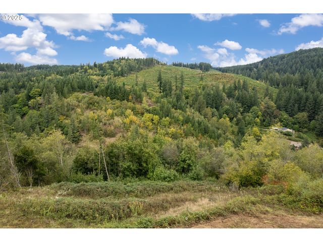 0 Ne 5th St, Washougal, WA 98671