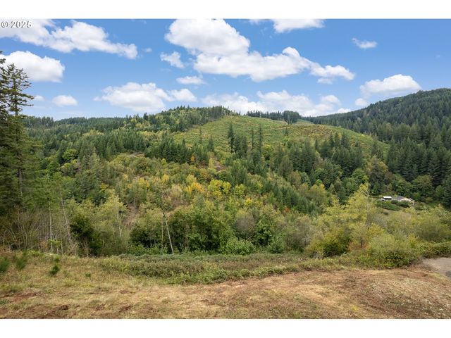 0 Ne 5th St, Washougal, WA 98671