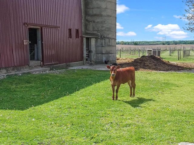 W5837 County Road A, Elkhorn, WI 53121