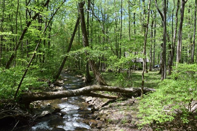 Lot 189 Hawks Nest Court, Ellijay, GA 30536