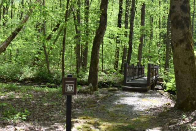 Lot 189 Hawks Nest Court, Ellijay, GA 30536