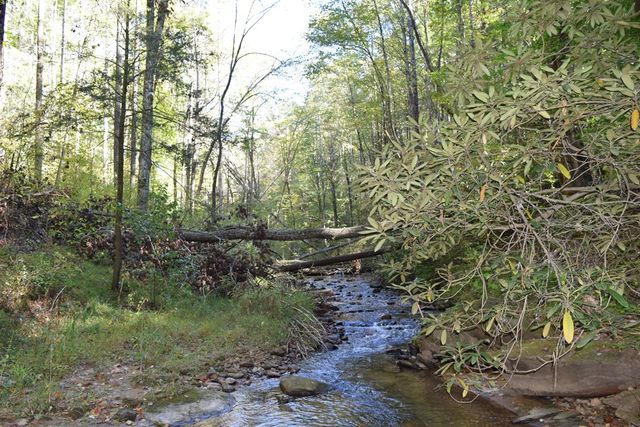 Lot 189 Hawks Nest Court, Ellijay, GA 30536